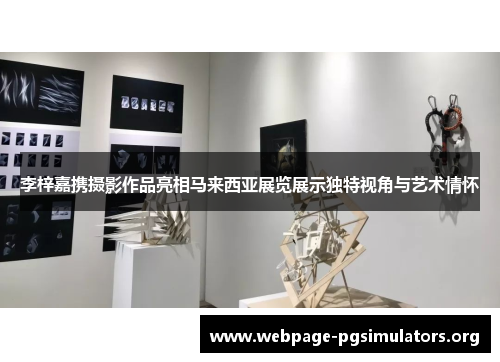 李梓嘉携摄影作品亮相马来西亚展览展示独特视角与艺术情怀