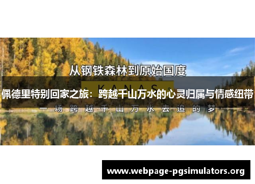 佩德里特别回家之旅：跨越千山万水的心灵归属与情感纽带