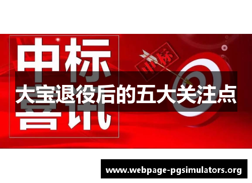 大宝退役后的五大关注点