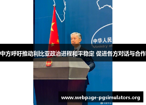 中方呼吁推动利比亚政治进程和平稳定 促进各方对话与合作