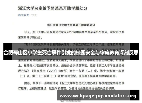 合肥蜀山区小学生死亡事件引发的校园安全与家庭教育深刻反思