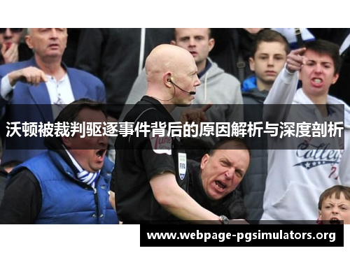 沃顿被裁判驱逐事件背后的原因解析与深度剖析