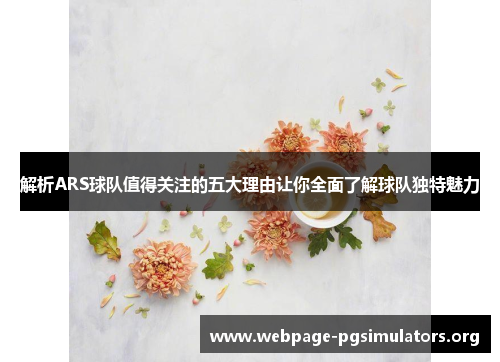 解析ARS球队值得关注的五大理由让你全面了解球队独特魅力